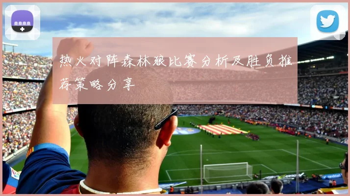 热火对阵森林狼比赛分析及胜负推荐策略分享