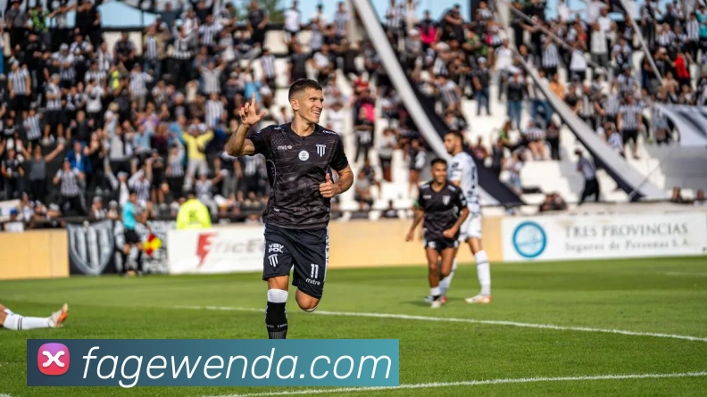 zoty中欧发展历程