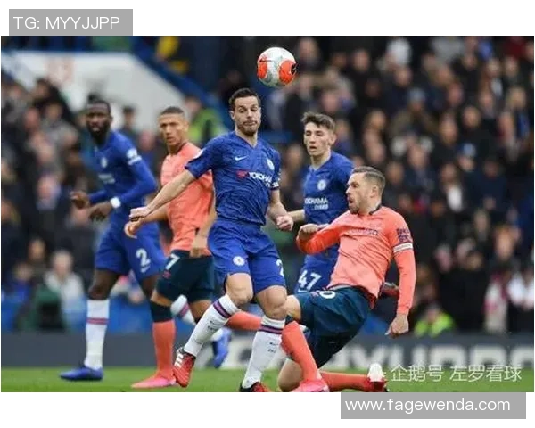 西雅图风暴与天猫对决结果揭晓赛季精彩瞬间回顾