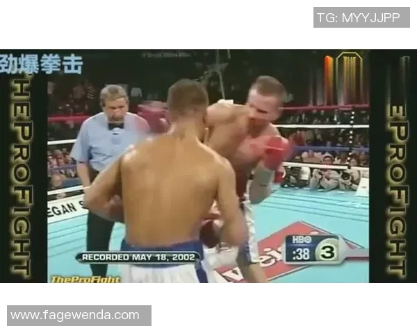 高纳与马萨雷激战在即谁将成为新一代拳坛霸主